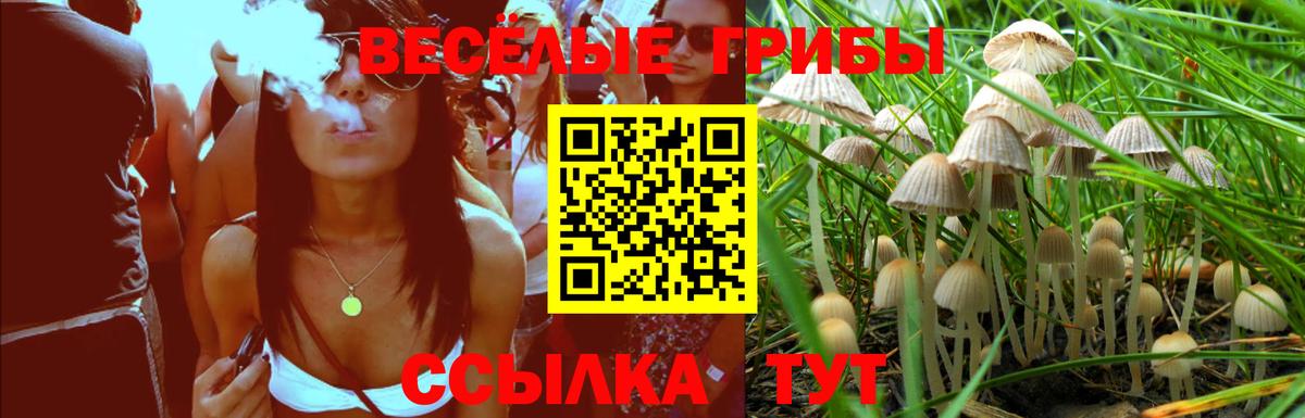 Галлюциногенные грибы ЛСД Екатеринбург