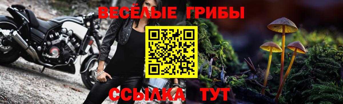 Галлюциногенные грибы Psilocybe  Галлюциногенные грибы Psilocybine cubensis  Вход с VPN  Екатеринбург 